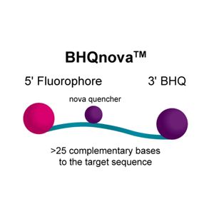 BHQnova™ Probes