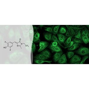 "4-(3,5-difluoro-4-hydroxybenzylidene)-2-methyl-1-(2,2,2-trifluoroethyl)-1H-imidazol-5(4 H)-one ( DFHBI-1T )"