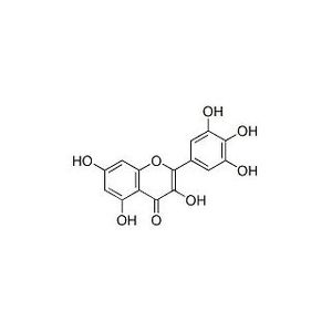 Myricetin-3
