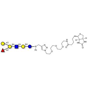 Blood group B antigen hexaose type 2 linked to biotin (Linker-BT A)