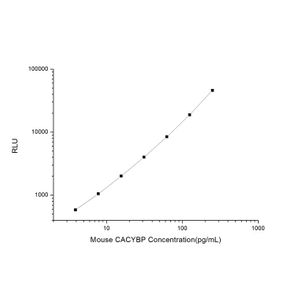 Mouse CACYBP (Calcyclin Binding Protein) CLIA Kit