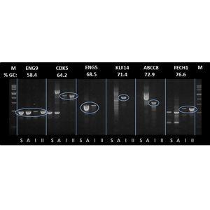 GC TEMPase 2x Master Mix I