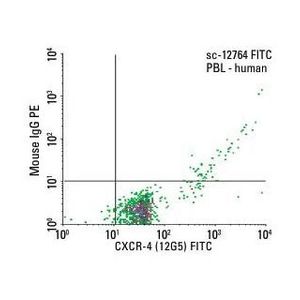 CXCR-4 (12G5) PE