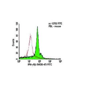 IFN-γRβ (MOB-47)