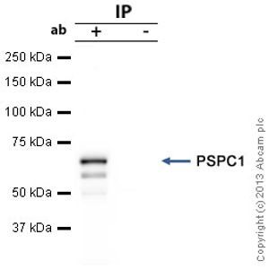 Exendin-4 ELISA Kit(AB272192)