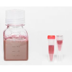 Goat Anti Biotin 40nm OD10 5ml