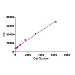 OZBlue Cell Viability Kit -for Transfection Assay