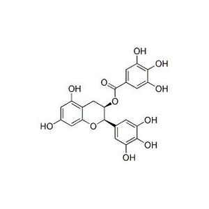 (-)-Epigallocatechin Gallate-2