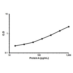 Anti-F4/80 antibody [EPR26545-166](AB300421)
