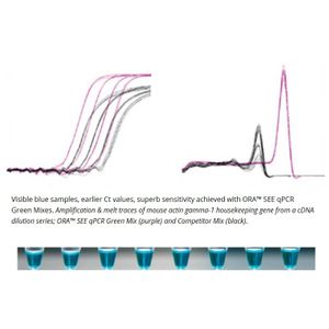 ORA™ SEE qPCR Green ROX H Mix