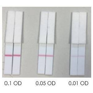 Mouse GFAP ELISA Kit(AB233621)