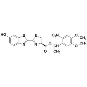 DMNPE-caged Luciferin -for Transfection Assay