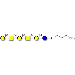 GalGalNAc-asialo GM1 Ganglioside oligosaccharide with free terminal amine (Linker-NH2 A)