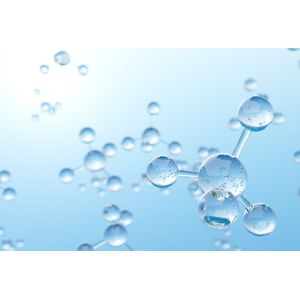 Difucosylpentaose grafted on OVA