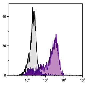 Anti-LYVE1 antibody - BSA and Azide free(AB14917)