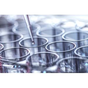 Neutral Invertase Microplate Assay Kit ( Colorimetric )