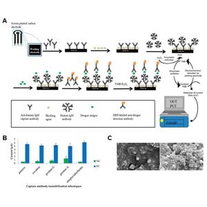 HRP Conjugation Kit - Lightning-Link®