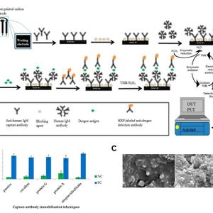 HRP Conjugation Kit - Lightning-Link®