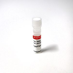 LysoView™ 540, 1000X in DMSO
