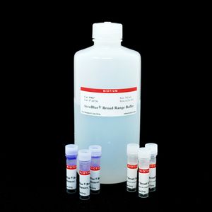 AccuBlue® Broad Range dsDNA Quantitation Solution, trial size