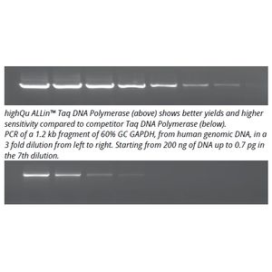 ALLin™ Taq DNA Polymerase