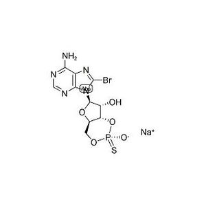 8-Bromoadenosine 3',5'-cyclic Monophosphothioate, Sp-Isomer sodium salt-2
