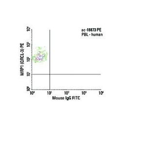 MRP1 (QCRL-3) FITC