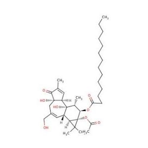 4α-Phorbol 12-myristate 13-acetate-2