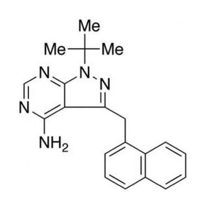 PP1 Analog II, 1NM-PP1