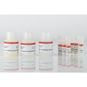 Firefly & Renilla Luciferase Single Tube Assay Kit, 50 Assays