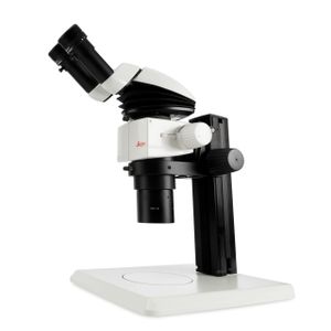 M80 Routine Stereo Microscopes