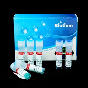 Forget-Me-Not™ EvaGreen® qPCR Master Mix (500 reactions)