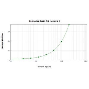 Anti-FOXP3 antibody [SP97](AB99963)