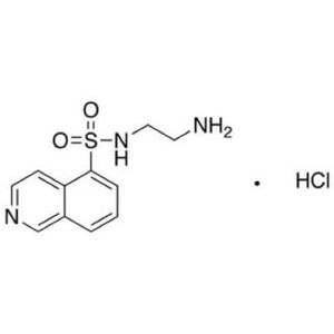 H-9 hydrochloride-2