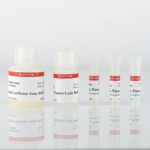 Renilla Luciferase Assay Kit 2.0, 150 Assays