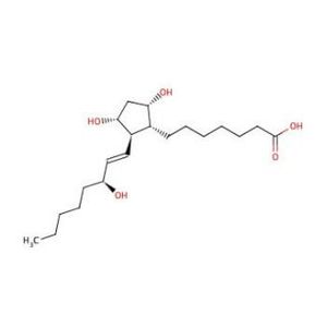 PGF1α (Prostaglandin F1α)