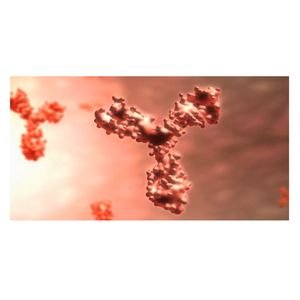 iQue® Phenotype and Function Kits