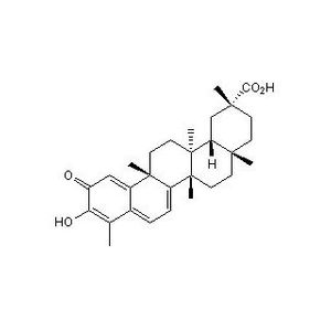 Celastrol, Celastrus scandens