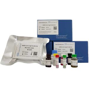 Human CCNE1 ELISA Matched Antibody Pair