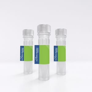 Mouse Anti-Human, Mouse CK19 Monoclonal Antibody