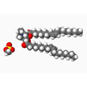 DOTAP - DNA Transfection Reagent