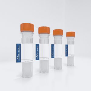 "Anti-HIV (ITS90.03) h(CD28-CD3_) CAR, pCDCAR1"