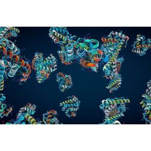 Microbial transglutaminase with C-terminal His6-Tag