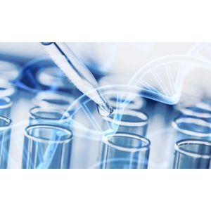 Resistance ESBL E.coli Multiplex Real Time PCR Kit