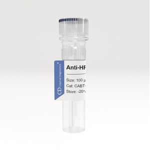 Anti-PGR (aa 1-110) polyclonal antibody