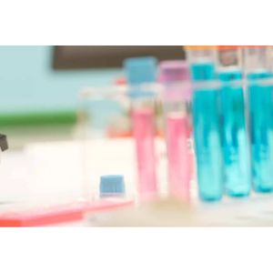 "Corning® Epidermal Growth Factor (EGF), Mouse Natural (RECEPTOR GRADE)"