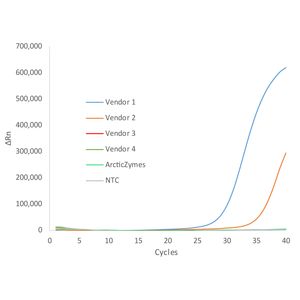 T4 DNA Ligase