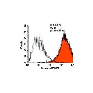 Vimentin (V9) Alexa Fluor® 594