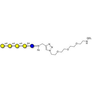 Galα1-4Galα1-4-Globotriose grafted on gel for affinity chromatography (Linker-GEL A)