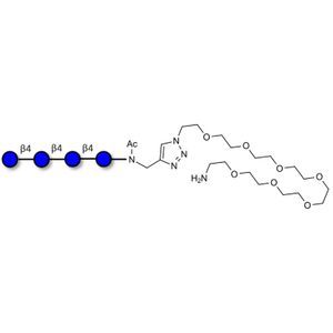 Cellotetraose with free terminal amine (Linker-NH2 C)